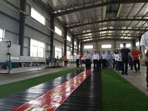 湖南省長(zhǎng)許達(dá)哲親臨桃花江竹材科技