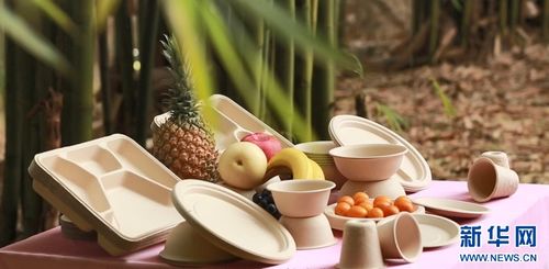 七十二變，竹產業拔節向上——環保科技賦能傳統產業煥新